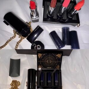 Rogue Dior Minaudiere